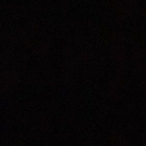 Meet your Posher, Sani